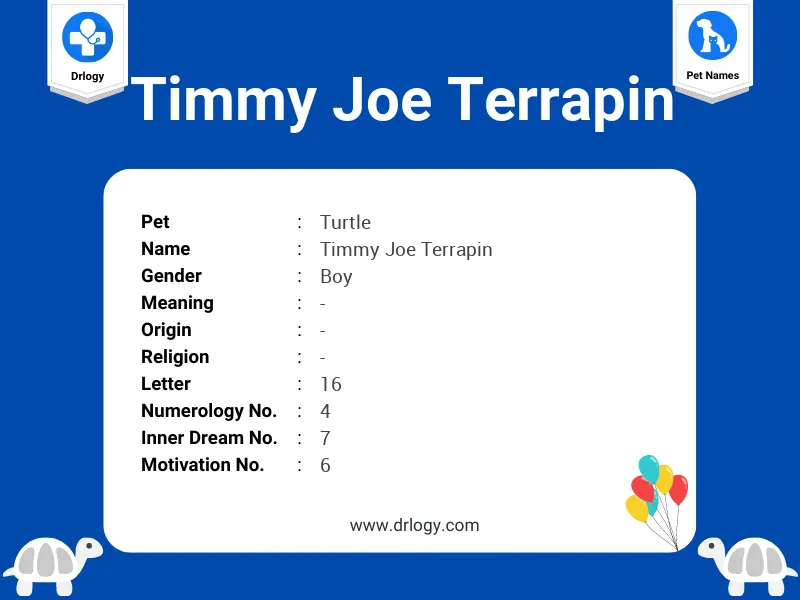 Timmy Joe Terrapin Name Meaning